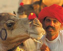 Golden Triangle of India 